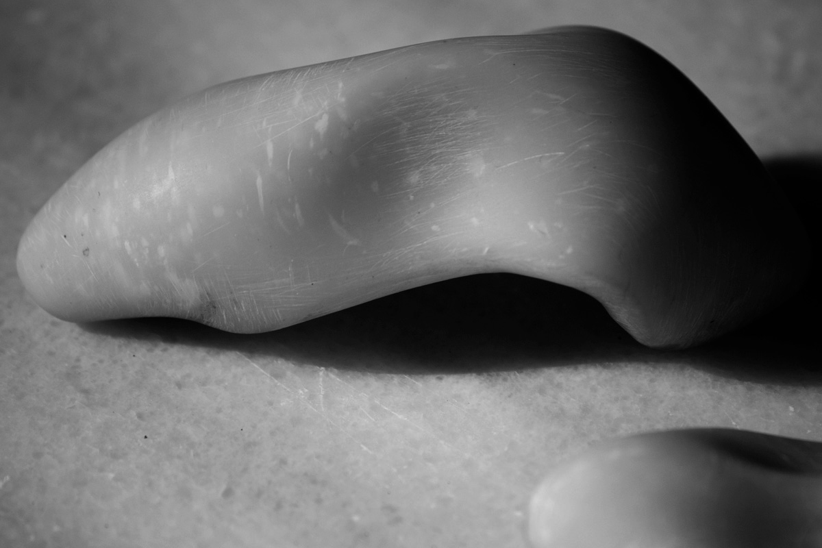 Art project The Clamosaur img3