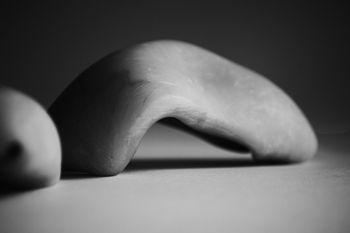 Art project The Clamosaur img4