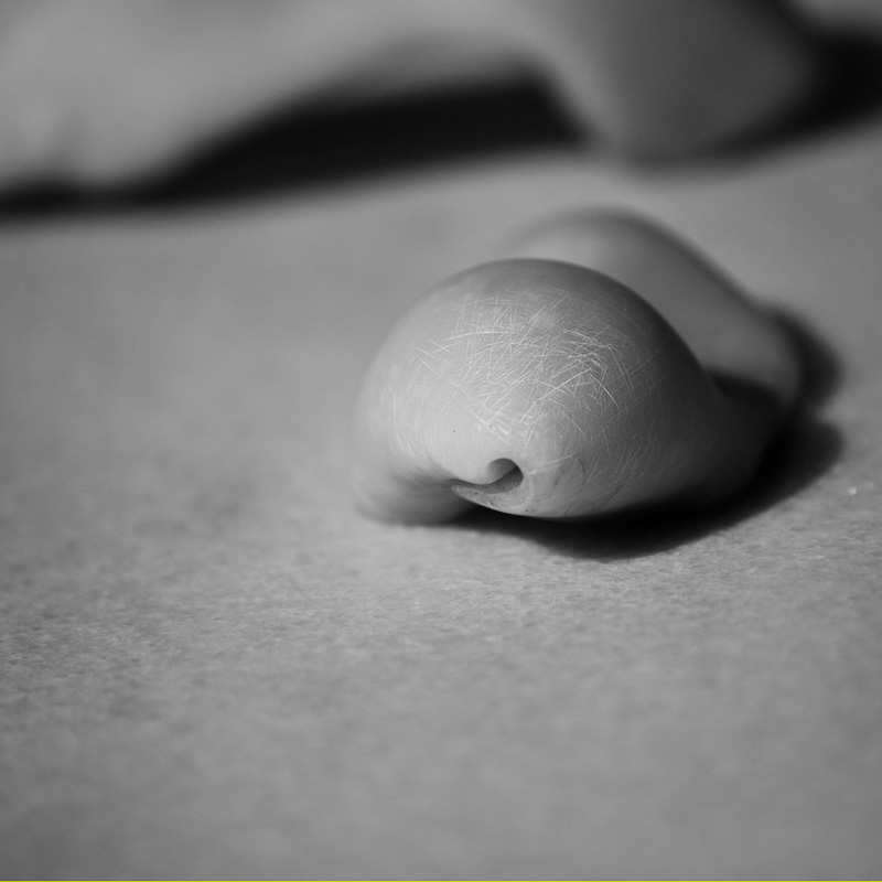 Art project The Clamosaur img5