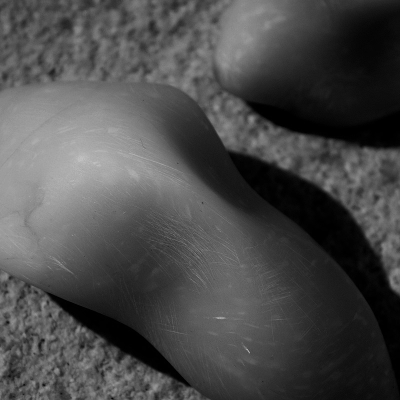 Art project The Clamosaur img6