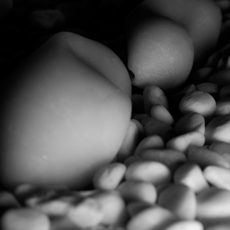 Art project The Clamosaur img7