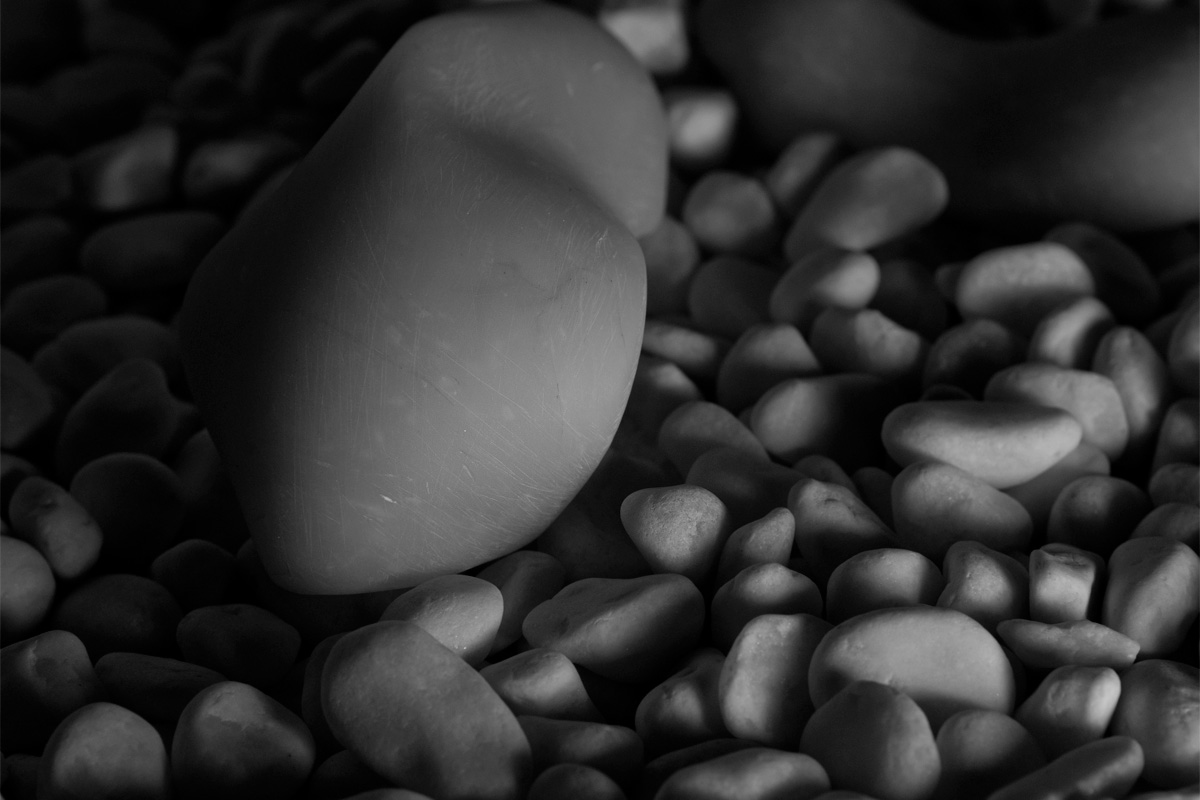 Art project The Clamosaur img3b