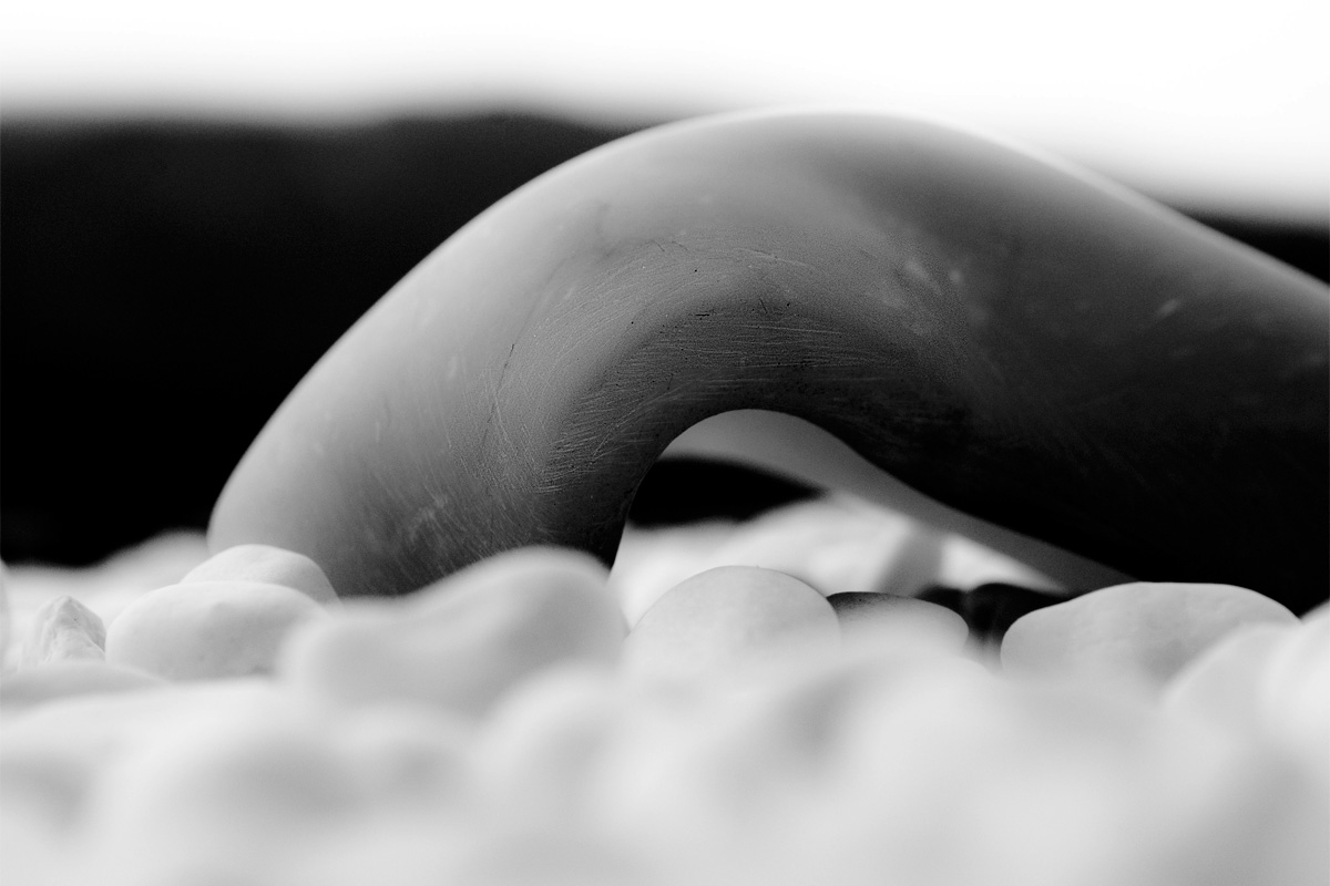 Art project The Clamosaur img4b