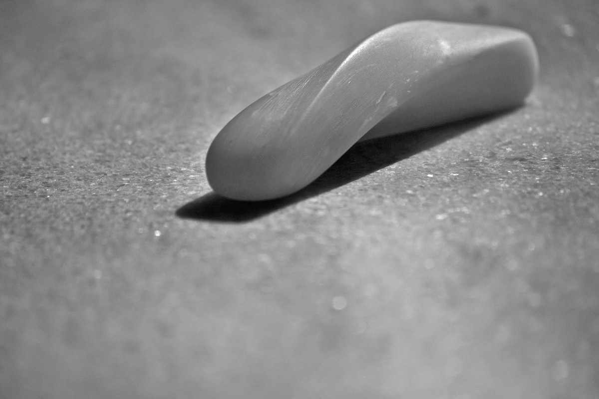 Art project The Wormorapsis img2