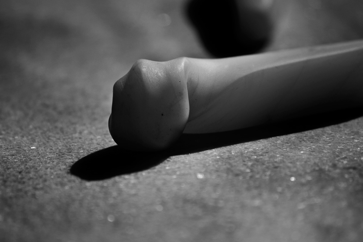 Art project The Wormorapsis img4