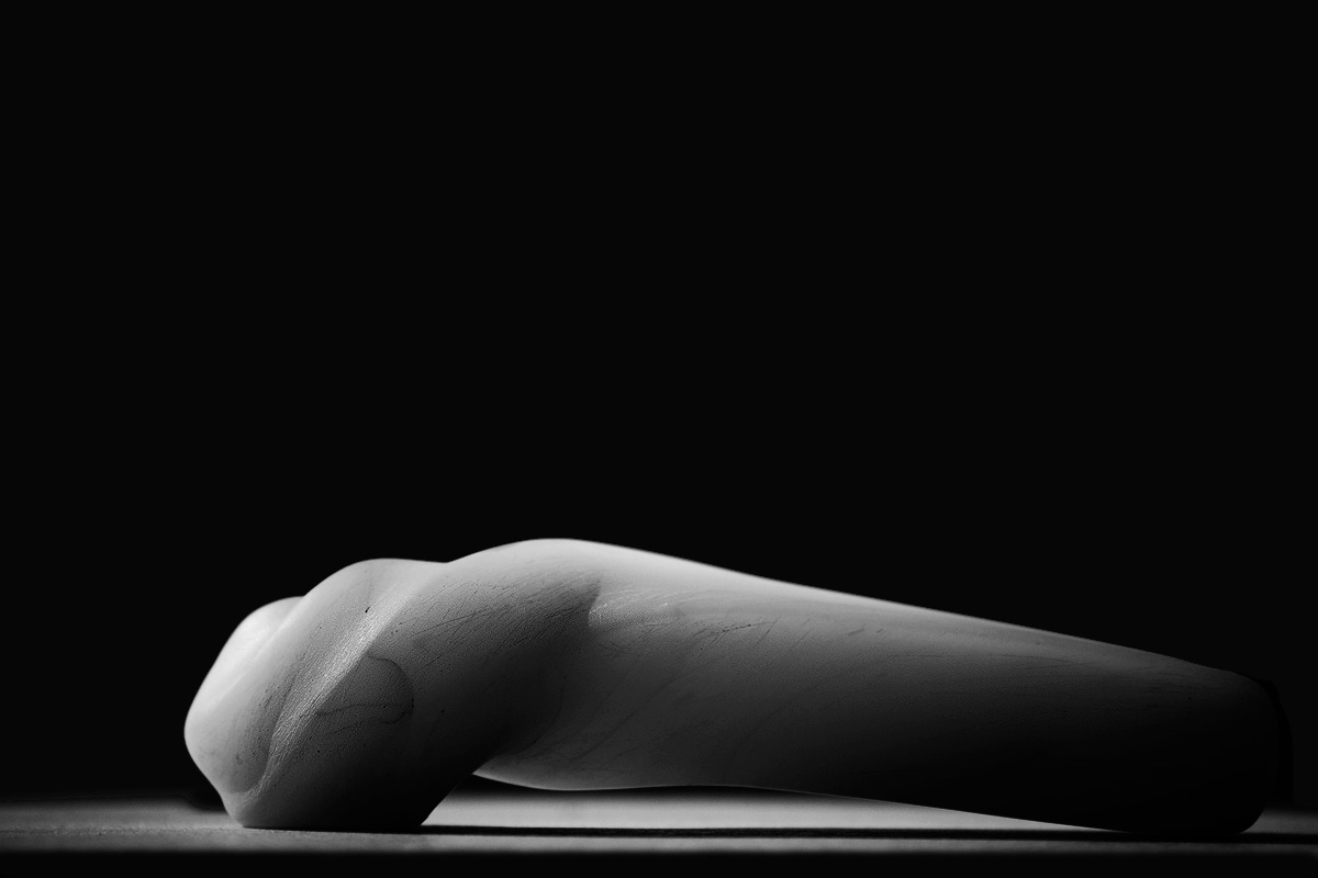 Art project The Wormorapsis img5