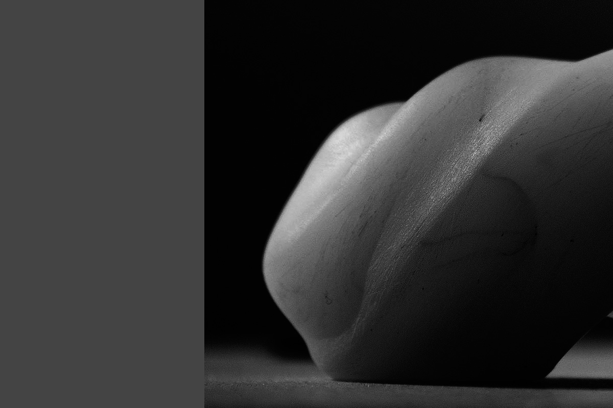 Art project The Wormorapsis img1