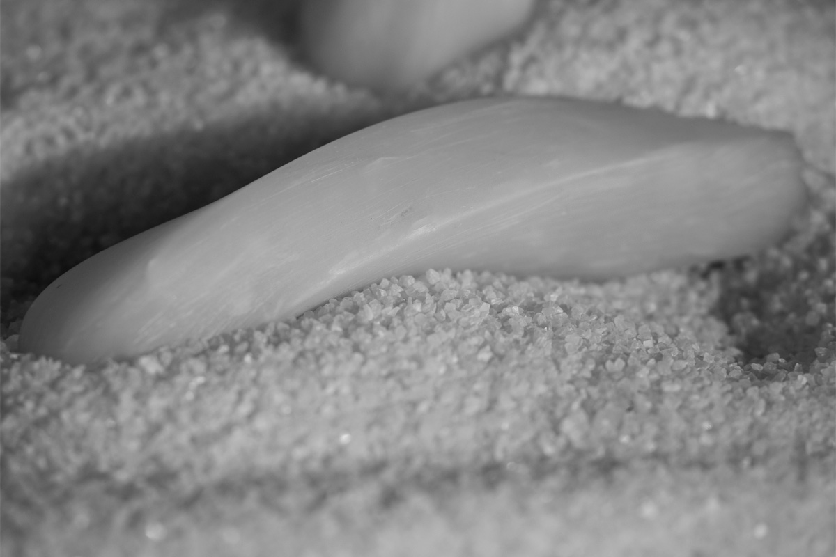 Art project The Wormorapsis img2n-2