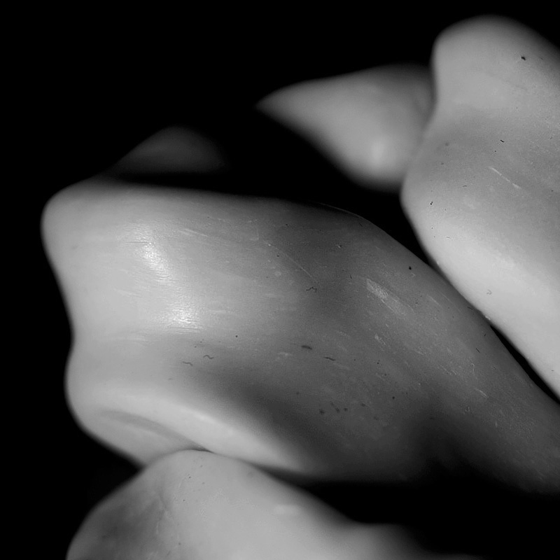 Art project The Slugopotamus img2