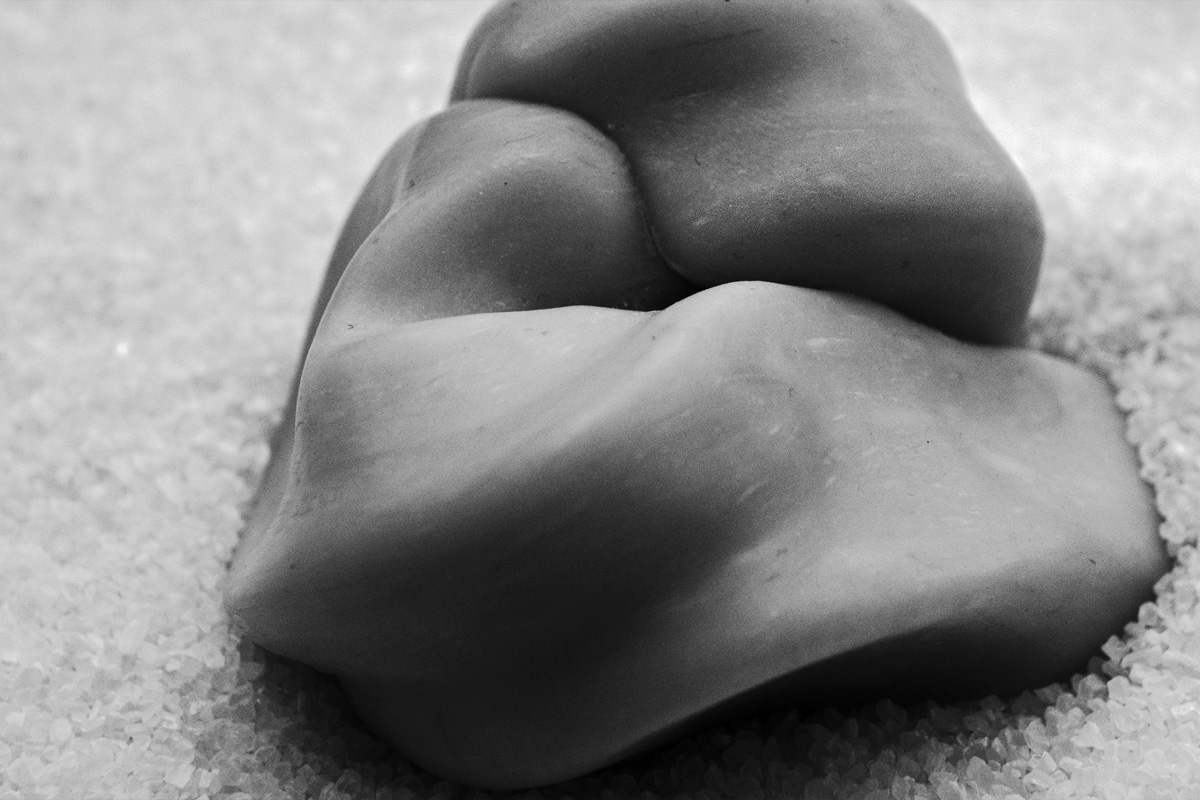 Art project The Slugopotamus img4