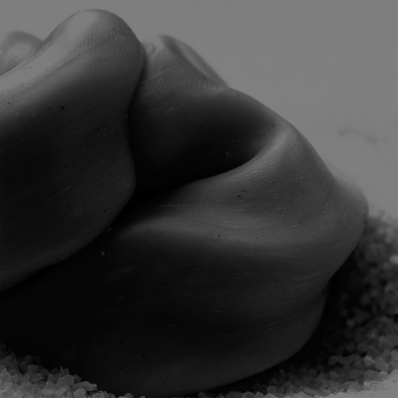 Art project The Slugopotamus img5