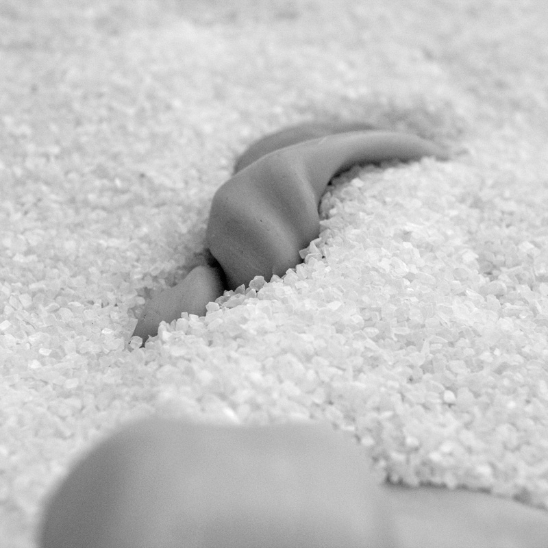 Art project The Slugopotamus img6