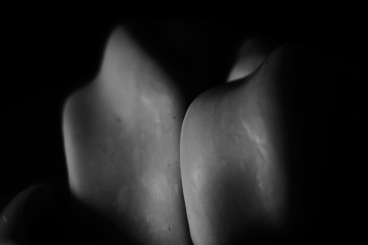 Art project The Slugopotamus img7