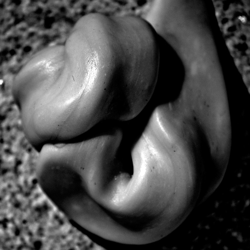 Art project The Slugopotamus img8