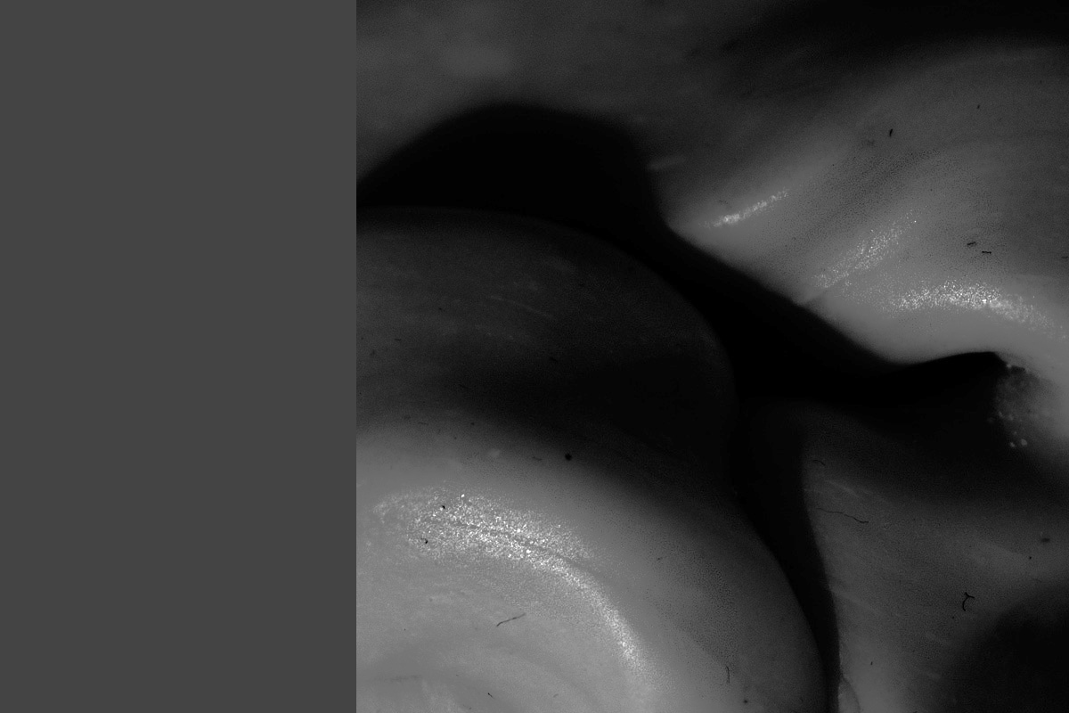 Art project The Slugopotamus img1