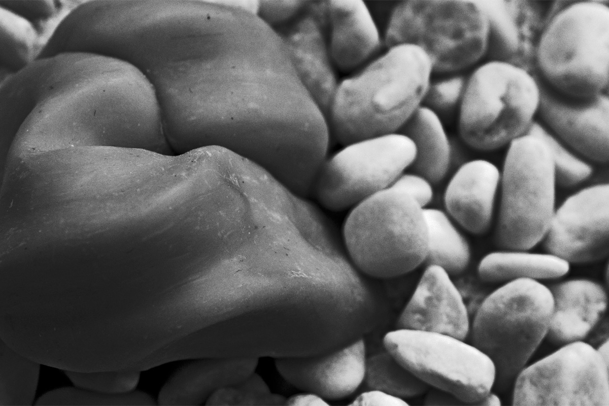 Art project The Slugopotamus img2a