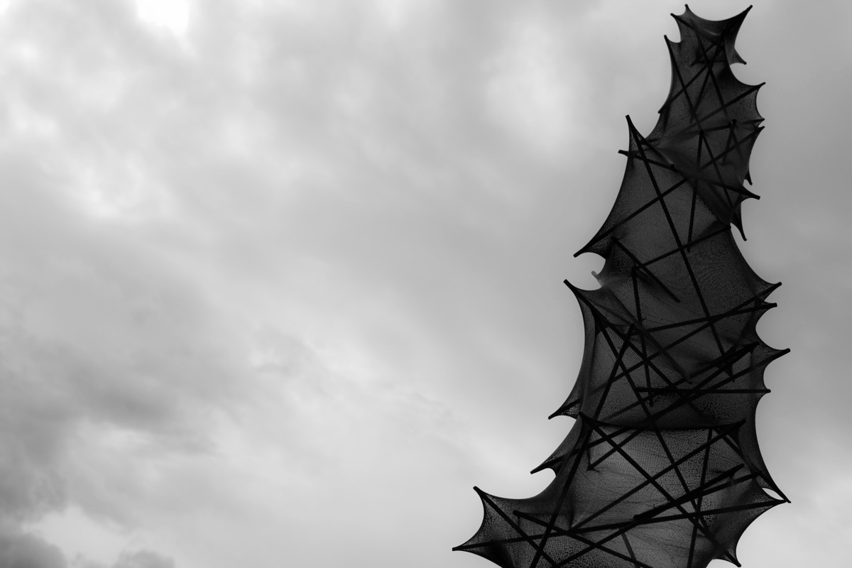 Art project The lycrodon img2b