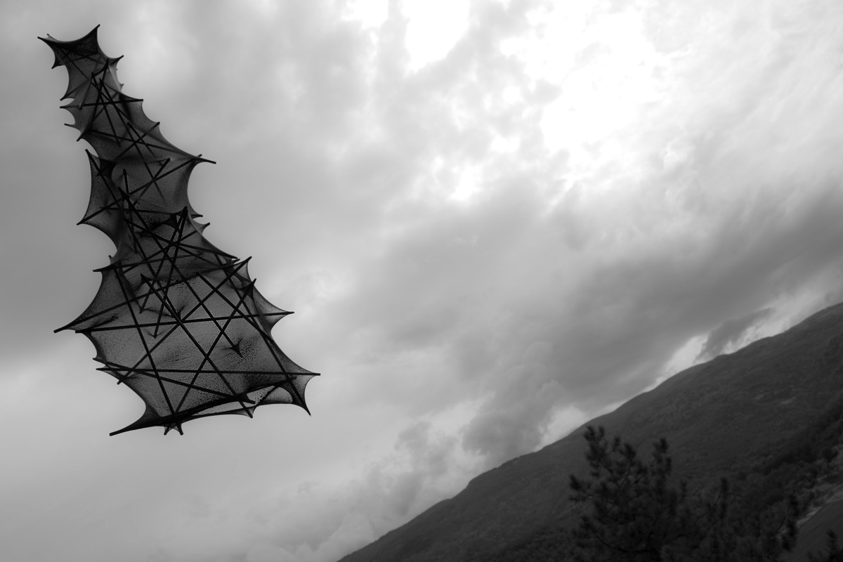 Art project The lycrodon img3a